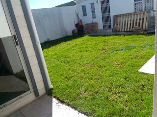 Roll on lawn  kikuyu grass