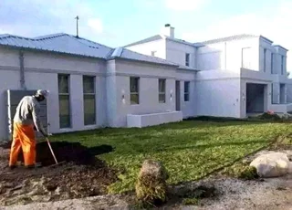 Roll on lawn  kikuyu grass