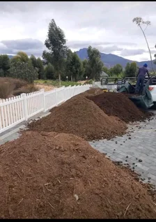 Roll on lawn  kikuyu grass