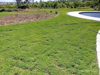 Supply and install  kikuyu grass