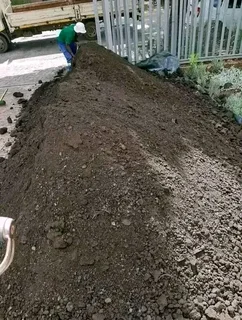 Supply and install  kikuyu grass