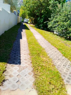 Supply and install  kikuyu grass