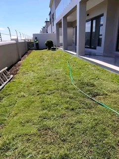Supply and install  kikuyu grass
