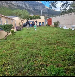 Supply and install  kikuyu grass