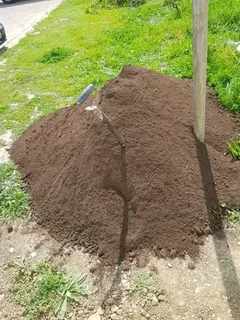 Roll on lawn kikuyu grass