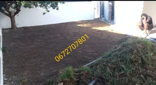 Roll on lawn kikuyu grass