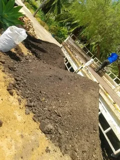 Supply and install  Buffalo grass