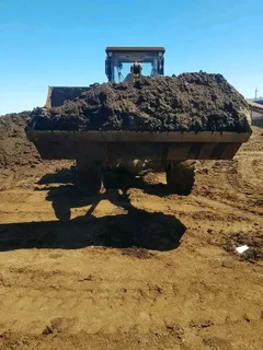 Supply and install  Buffalo grass