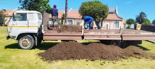 Supply and install  Buffalo grass