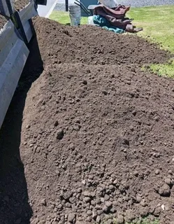 Supply and install  Buffalo grass