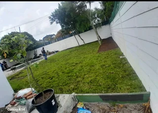 Supply and install  Buffalo grass