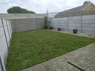 Roll on lawn  cyndon grass