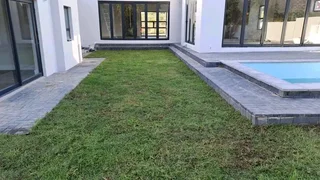 Roll on lawn  cyndon grass