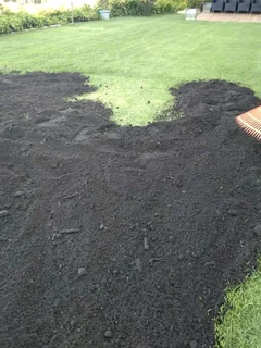 Roll on lawn  cyndon grass