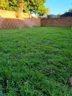 Roll on lawn  kikuyu and Buffalo  grass