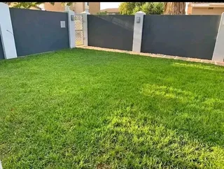Roll on lawn  kikuyu and Buffalo  grass