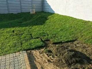 Roll on lawn  kikuyu and Buffalo  grass