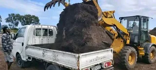 Roll on lawn  kikuyu grass