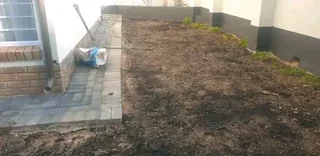 Supply and install  Buffalo grass and  kikuyu grass