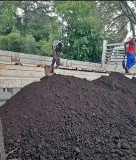 Supply and install  Buffalo grass and  kikuyu grass