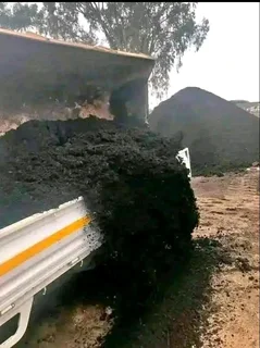 Supply and install  Buffalo grass and  kikuyu grass