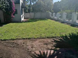 Supply and install  Buffalo grass and  kikuyu grass