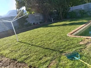 Roll on lawn cyndon grass