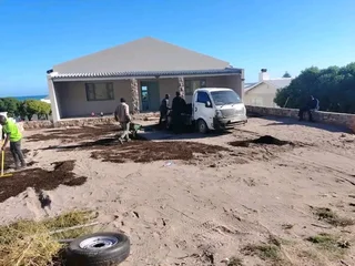 Roll on lawn  kikuyu grass