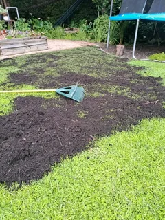 Roll on lawn  kikuyu grass