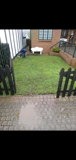 Roll on lawn  kikuyu grass