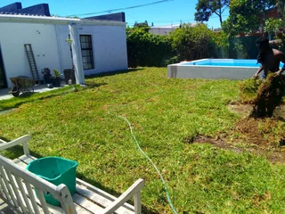 Roll on lawn  kikuyu grass