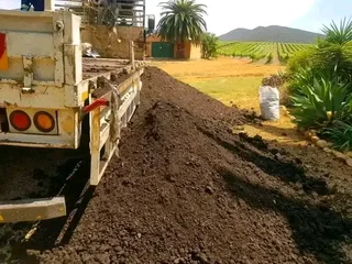 Roll on lawn  kikuyu grass