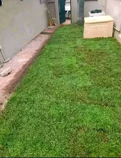 Supply and install  kikuyu grass and  LM barea grass