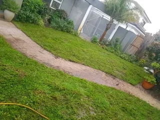 Supply and install  kikuyu grass and  LM barea grass