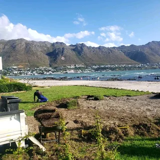 Supply and install  kikuyu grass and  LM barea grass