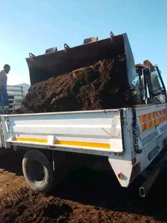 Supply and install  kikuyu grass and  LM barea grass