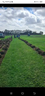 Roll on lawn  LM Berea GRASS