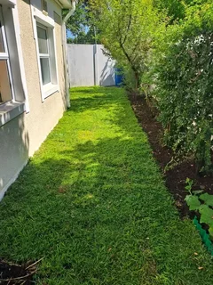 Roll on lawn  LM barea grass and  cyndon GRASS