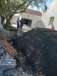 Roll on lawn  LM barea grass and  cyndon GRASS