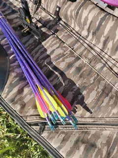 Archery - Competition bow.