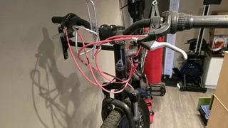 Girls Avalanche cosmic 24 inch MTB