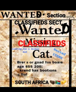 The Wanted Classifieds