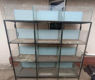 Fish Tank Setup For Sale (24 tanks)
