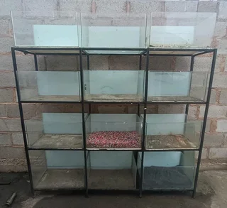 Fish Tank Setup For Sale (24 tanks)