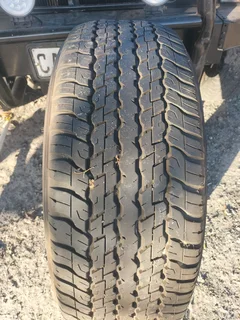 285/60/18 - Ad posted by Wellington