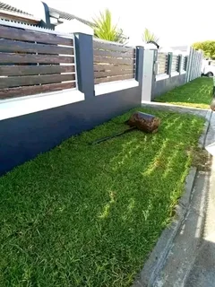 Instant lawn