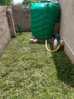 Instant lawn