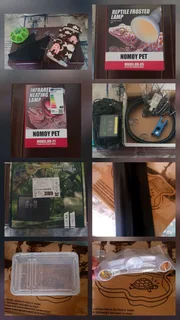 COMPLETE PREMIUM LEOPARD GECKO SETUP &#43; GORGEOUS HIGH-YELLOW GECKO