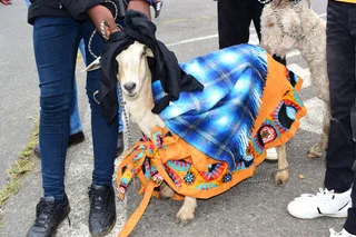 Photographer - Ad posted by sya mbonambi