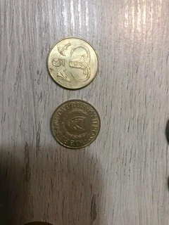 FOREIGN COINS AND NOTES ON SPECIAL(BARGAIN)